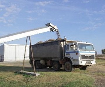 Layer Hen Manure Analysis