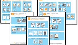Salmonella posters on farm collection