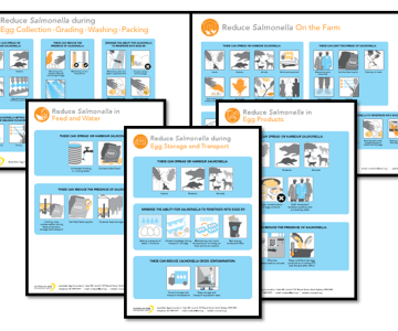 Salmonella posters on farm collection