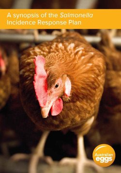 A synposis of the Salmonella Incidence Response Plan cover