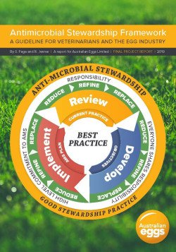 Antimicrobial Stewardship Framework cover
