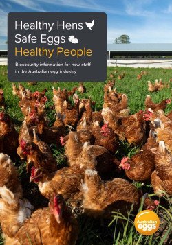 Healthy Hens Safe Eggs Healthy People handbook
