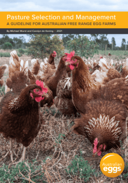 Pasture Selection and Management