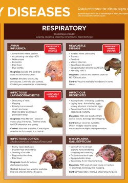 Poultry Diseases Poster