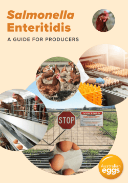 SE Guide for Producers
