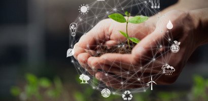 sustainability hands1956931324