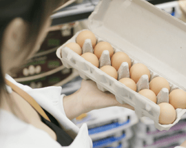 Egg customer