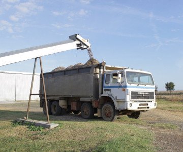 Manure being loaded into truck