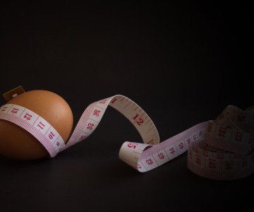 Eggs and Obesity