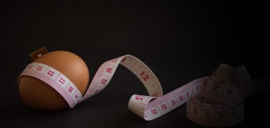 Eggs and Obesity