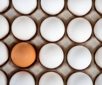 Eggs as a Meat Alternative