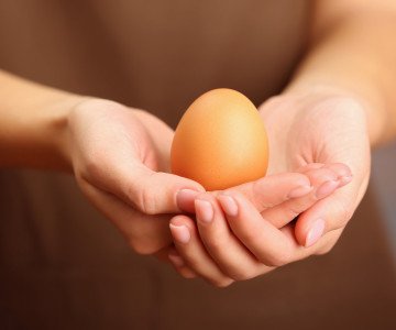 Lady holding egg